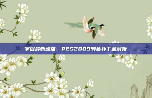 掌握最新动态,PES2009转会补丁全解析