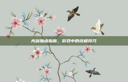 光剑加点指南,游戏中的终极技巧