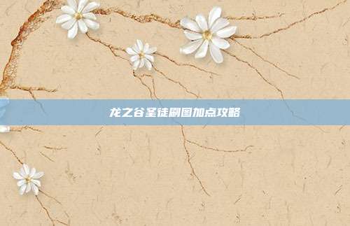 龙之谷圣徒刷图加点攻略