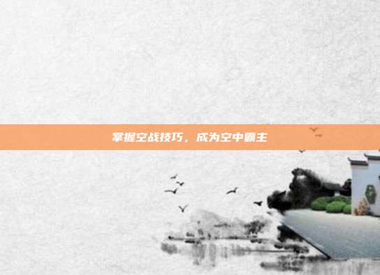 掌握空战技巧，成为空中霸主