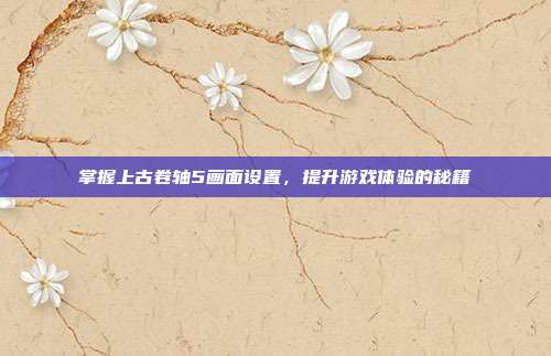 掌握上古卷轴5画面设置，提升游戏体验的秘籍