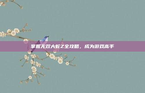 掌握无双大蛇Z全攻略,成为游戏高手