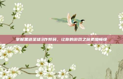 掌握黑道圣徒3作弊码,让你的游戏之旅更加畅快