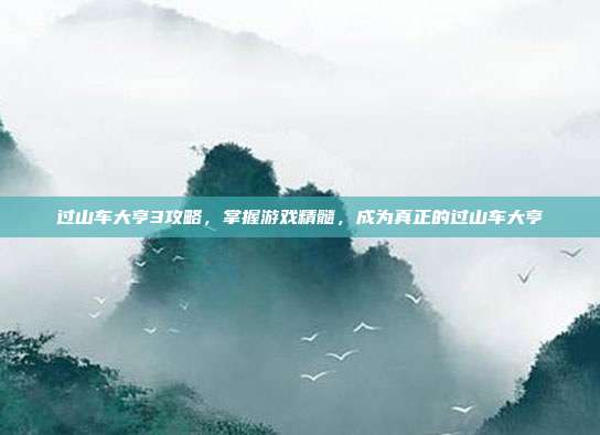 过山车大亨3攻略，掌握游戏精髓，成为真正的过山车大亨