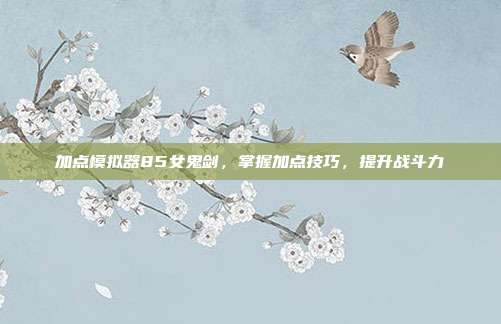 加点模拟器85女鬼剑，掌握加点技巧，提升战斗力