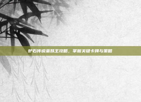 炉石传说巫妖王攻略,掌握关键卡牌与策略
