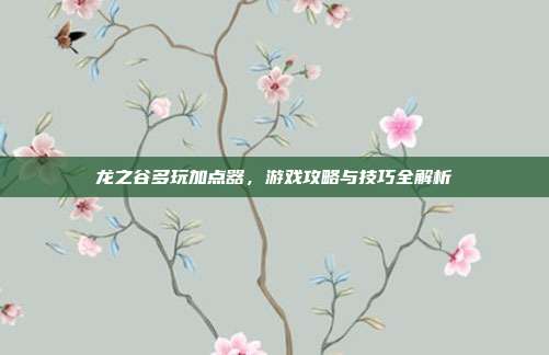 龙之谷多玩加点器,游戏攻略与技巧全解析