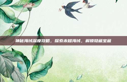 神秘海域深度攻略,探索未知海域,解锁隐藏宝藏