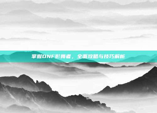 掌握DNF影舞者,全面攻略与技巧解析