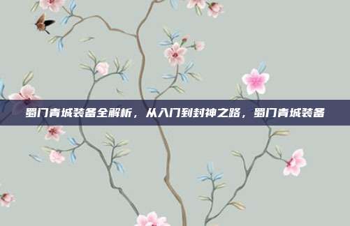 蜀门青城装备全解析，从入门到封神之路，蜀门青城装备