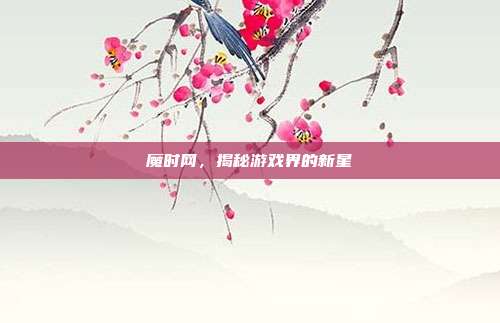 魔时网，揭秘游戏界的新星