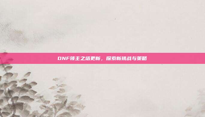 DNF领主之塔更新,探索新挑战与策略