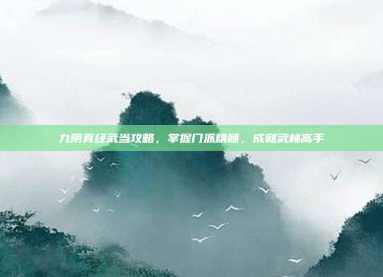 九阴真经武当攻略，掌握门派精髓，成就武林高手