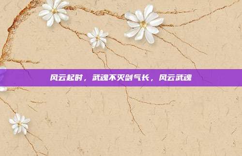 风云起时，武魂不灭剑气长，风云武魂