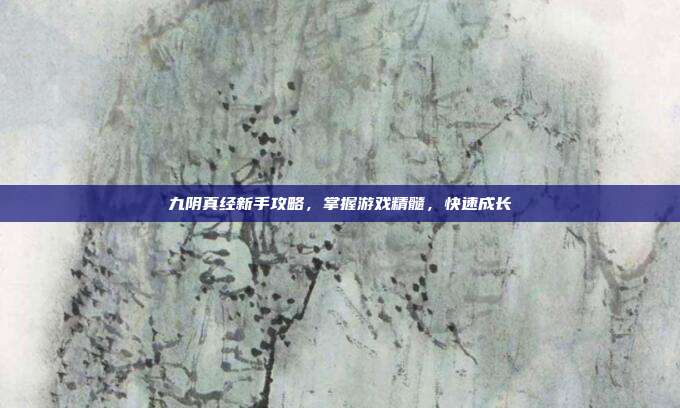 九阴真经新手攻略,掌握游戏精髓,快速成长