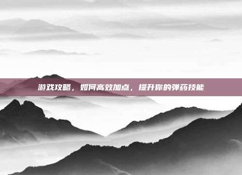 游戏攻略,如何高效加点,提升你的弹药技能