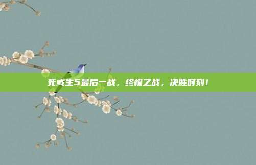 死或生5最后一战,终极之战,决胜时刻!