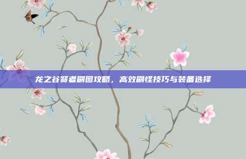 龙之谷贤者刷图攻略，高效刷怪技巧与装备选择