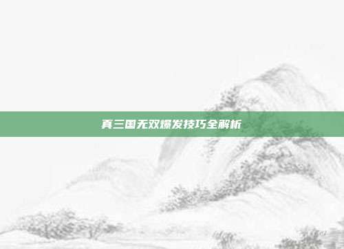 真三国无双爆发技巧全解析
