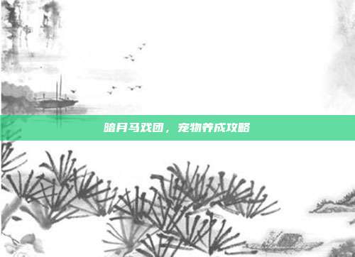 暗月马戏团，宠物养成攻略