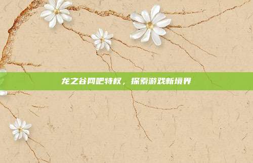 龙之谷网吧特权，探索游戏新境界