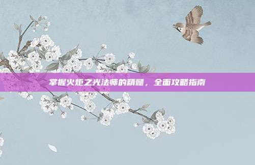 掌握火炬之光法师的精髓,全面攻略指南
