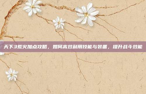 天下3荒火加点攻略，如何高效利用技能与装备，提升战斗效能