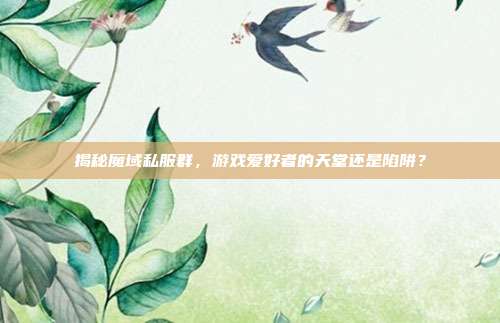 揭秘魔域私服群,游戏爱好者的天堂还是陷阱?