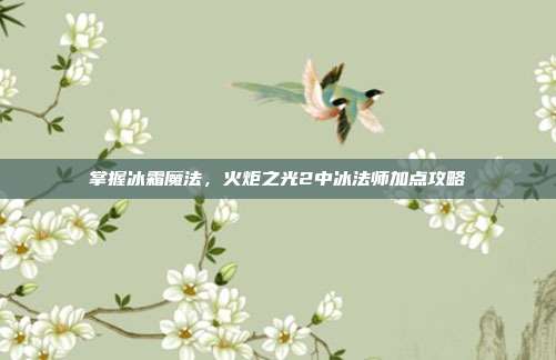 掌握冰霜魔法,火炬之光2中冰法师加点攻略