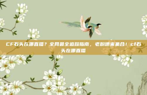 CF石头在哪直播？全网最全追踪指南，老粉速来集合！cf石头在哪直播