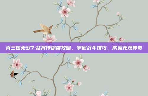 真三国无双7:猛将传深度攻略,掌握战斗技巧,成就无双传奇
