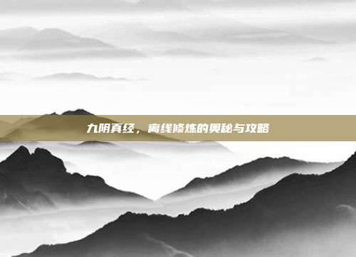 九阴真经,离线修炼的奥秘与攻略