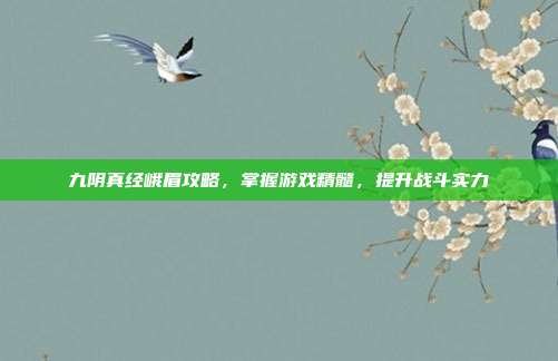 九阴真经峨眉攻略,掌握游戏精髓,提升战斗实力