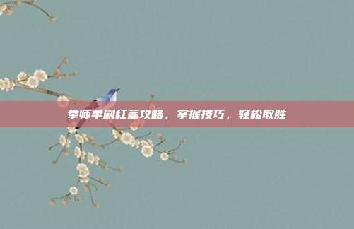拳师单刷红莲攻略,掌握技巧,轻松取胜