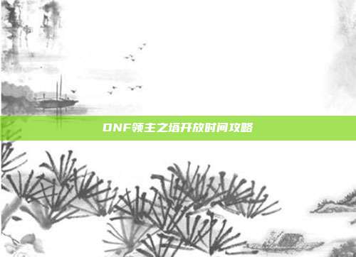 DNF领主之塔开放时间攻略