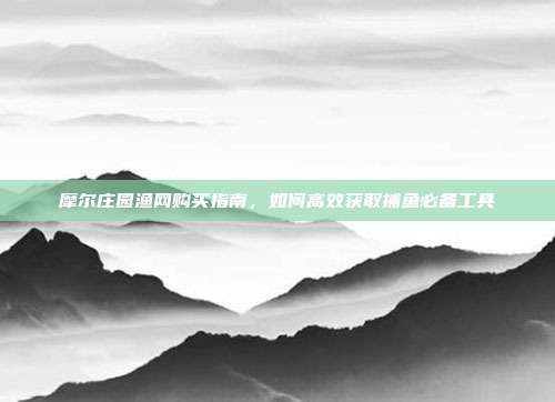 摩尔庄园渔网购买指南,如何高效获取捕鱼必备工具