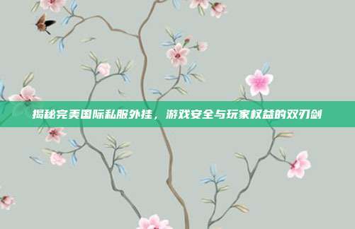 揭秘完美国际私服外挂,游戏安全与玩家权益的双刃剑