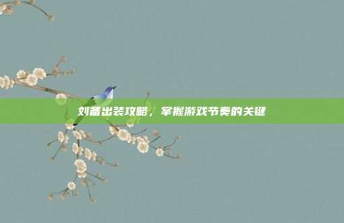 刘备出装攻略,掌握游戏节奏的关键