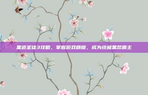 黑道圣徒3攻略，掌握游戏精髓，成为终极黑帮霸主