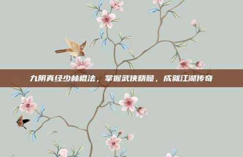 九阴真经少林棍法，掌握武侠精髓，成就江湖传奇