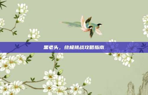 黑老头,终极挑战攻略指南