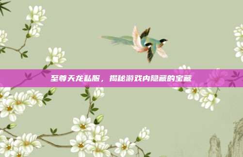 至尊天龙私服,揭秘游戏内隐藏的宝藏