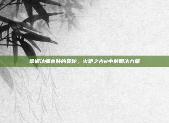 掌握法师套装的奥秘，火炬之光2中的魔法力量