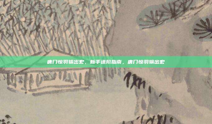 唐门惊羽输出宏，新手进阶指南，唐门惊羽输出宏