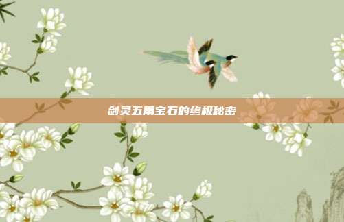 剑灵五角宝石的终极秘密