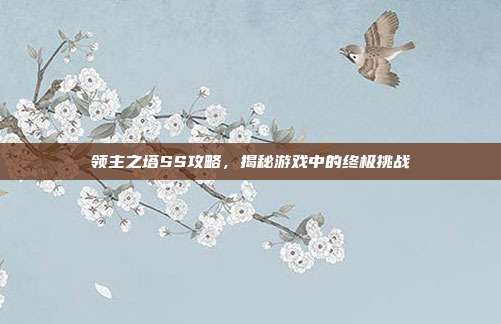 领主之塔SS攻略，揭秘游戏中的终极挑战