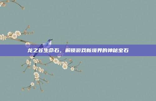 龙之谷生命石，解锁游戏新境界的神秘宝石