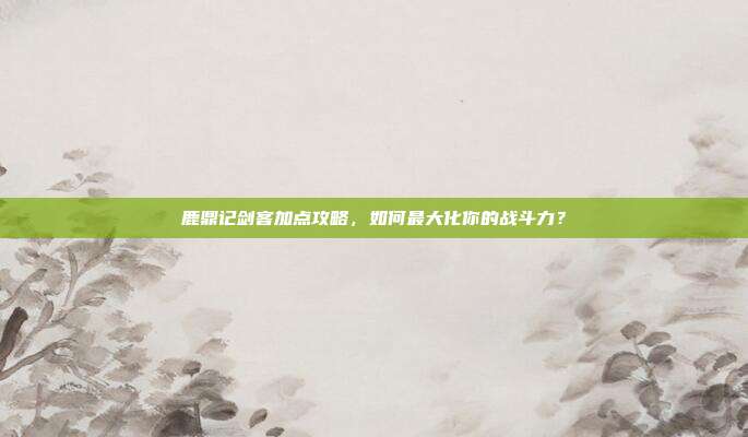 鹿鼎记剑客加点攻略，如何最大化你的战斗力？