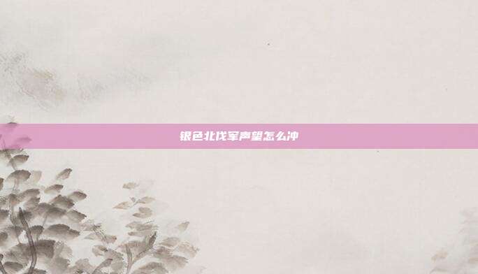 银色北伐军声望怎么冲