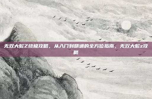 无双大蛇Z终极攻略，从入门到精通的全方位指南，无双大蛇z攻略